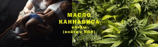 дживик Бородино