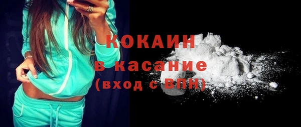 гидра Богородицк