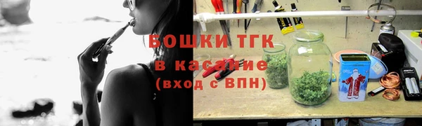 дживик Бородино