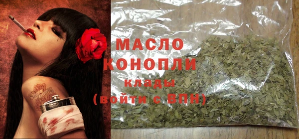 дживик Бородино