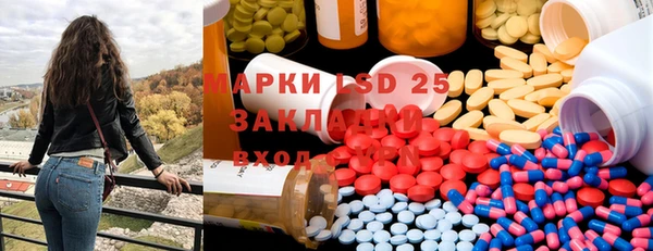 дживик Бородино