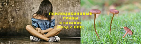 дживик Бородино