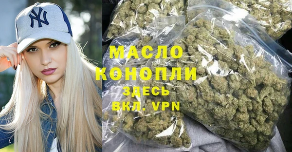 дживик Бородино