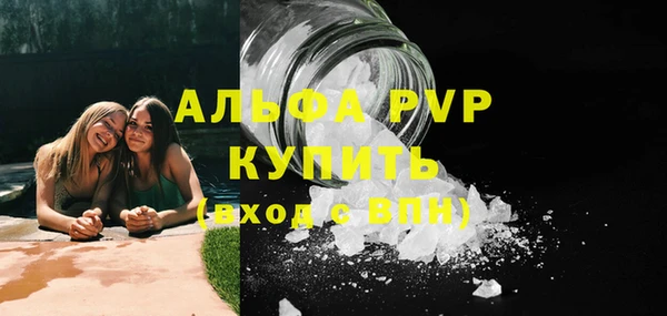 дживик Бородино