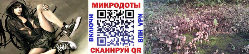 Галлюциногенные грибы Psilocybine cubensis Ярославль